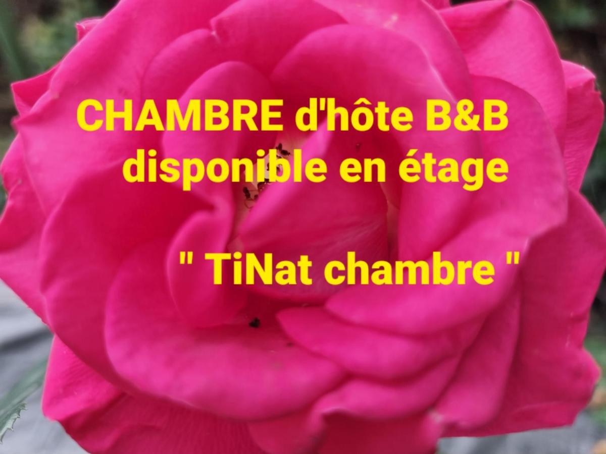 Tinat Studio Douarnenez Luaran gambar